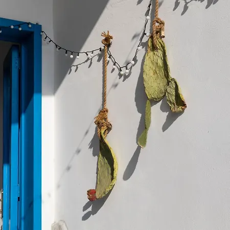 Apartamento Terra Ambrata *