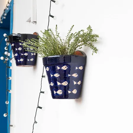 Apartment Terra Ambrata *